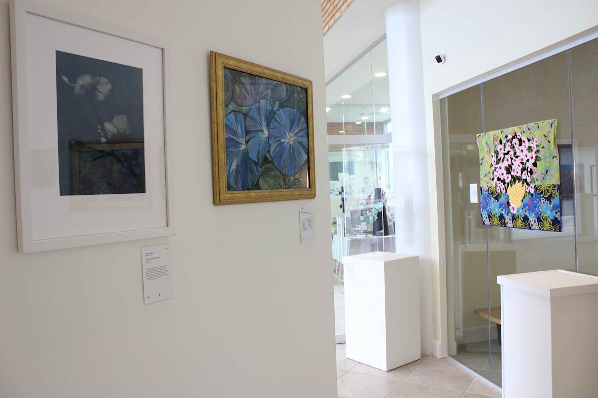 Exhibition Image