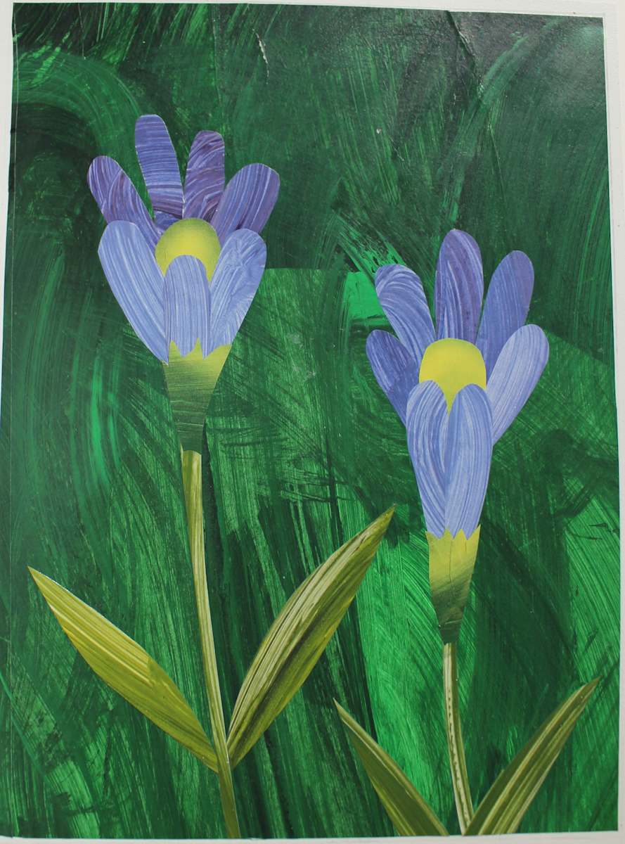 Two Flowers Early in the Morning by Andy Harris 