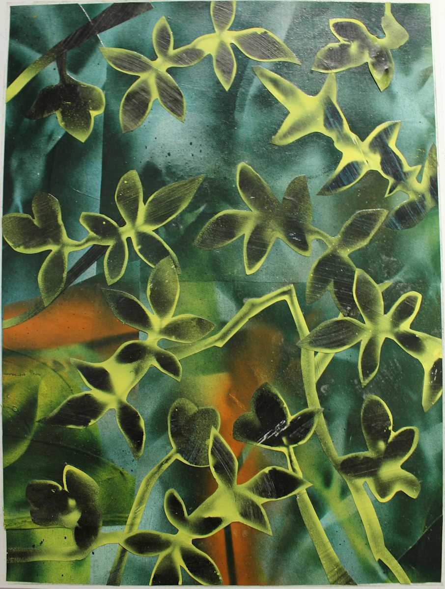 Looking Into Plants by Andy Harris 