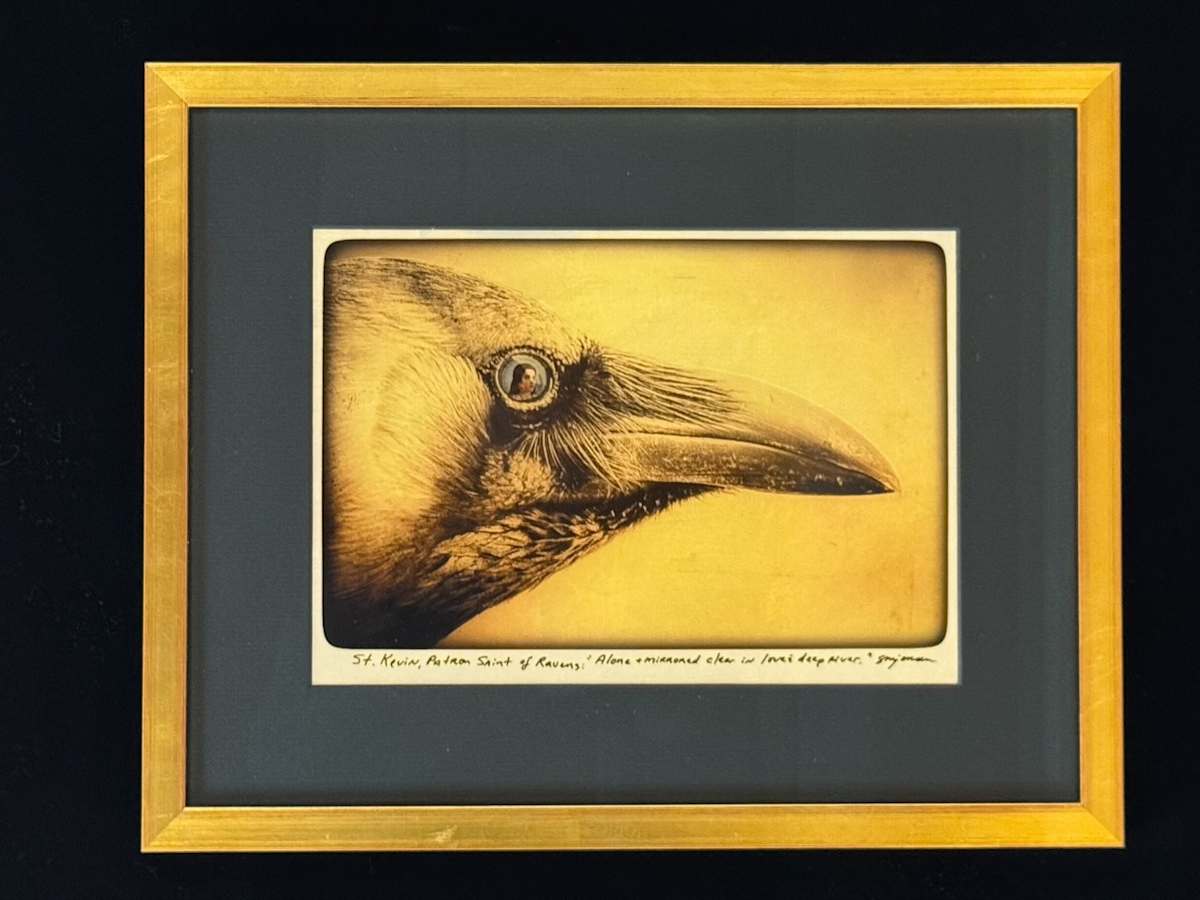 St. Kevin, Patron Saint of Ravens by Sandy Brown Jensen 