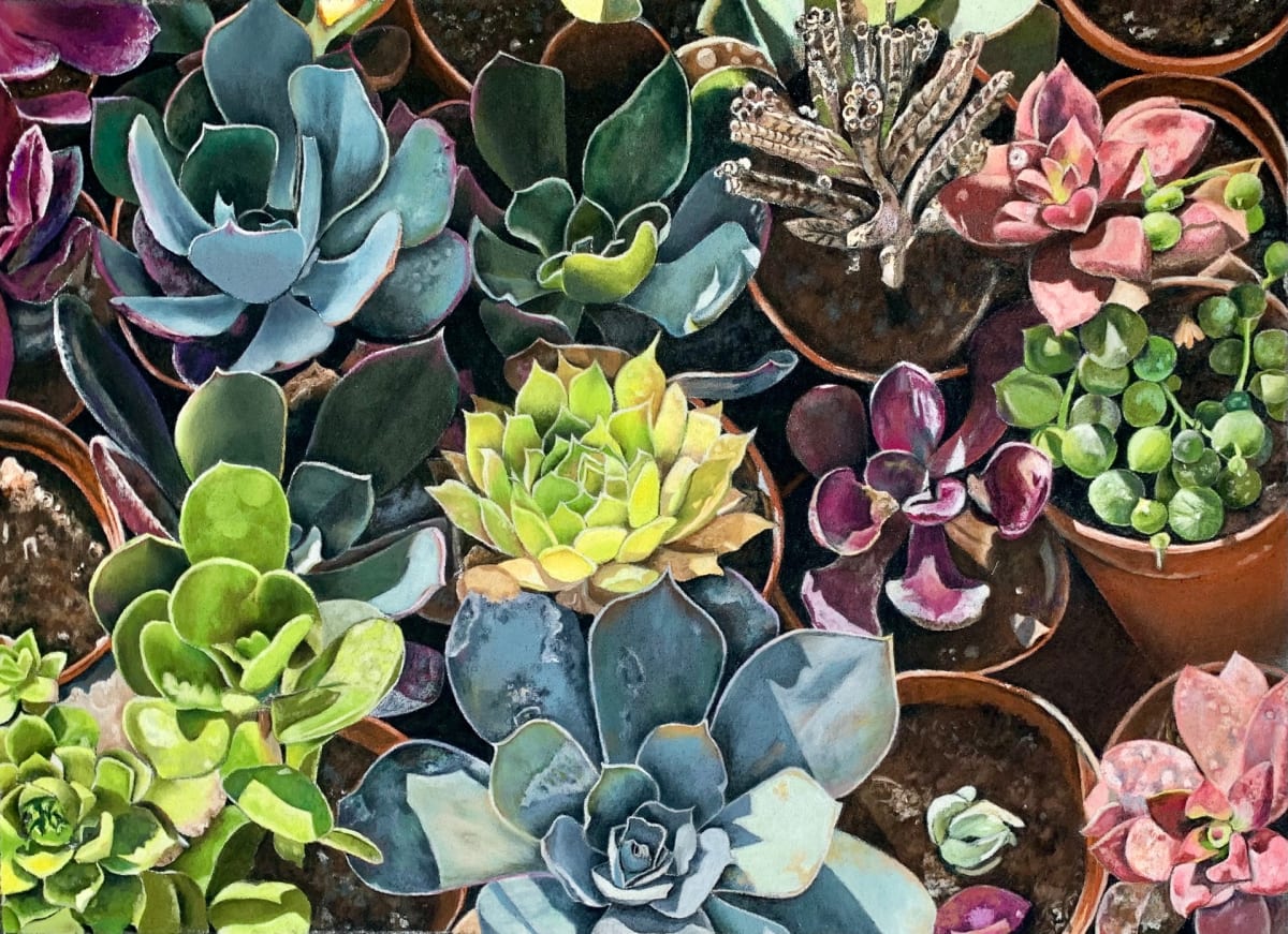 Succulents - No. 2 by JoAnn Kennedy 