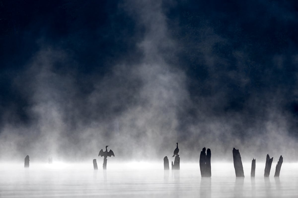 Ascent by Chad Kettlewell 