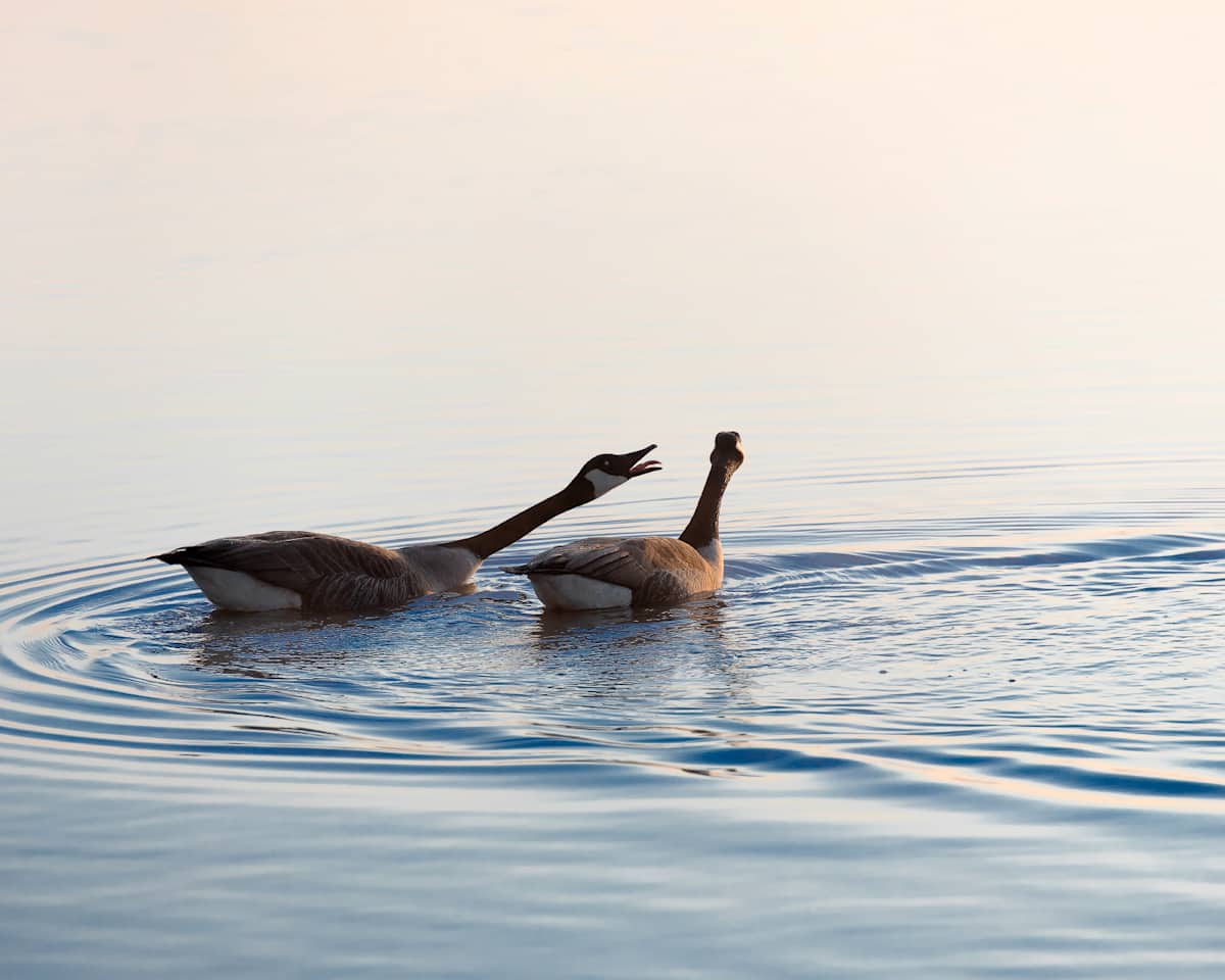 Fill-in-the-Blank by Chad Kettlewell 