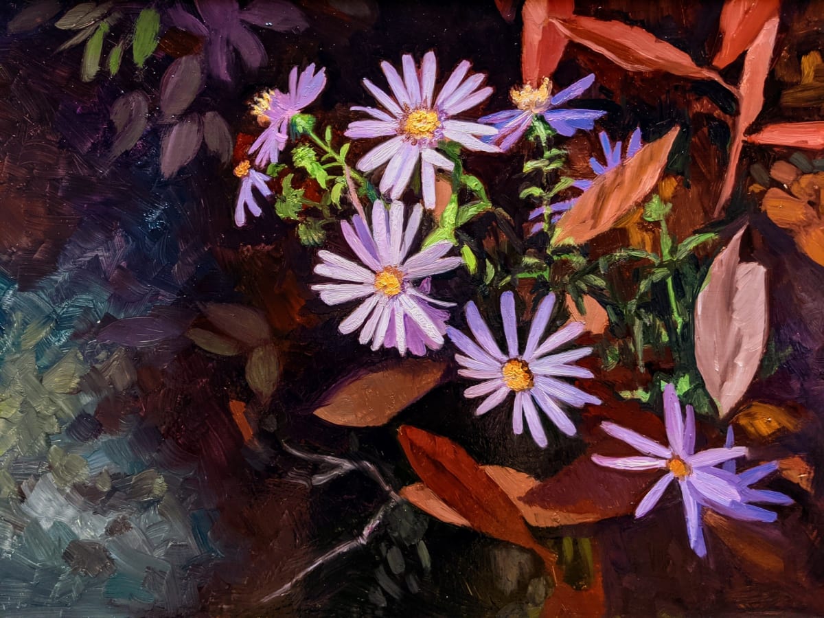 Asters Asteraceae by Rebecca King Hawkinson 