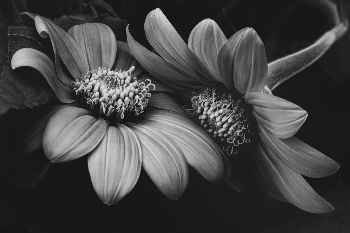 Connections by Nancy Knauer 