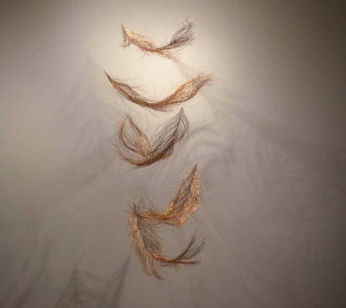 Feathers by Claire Lynch 