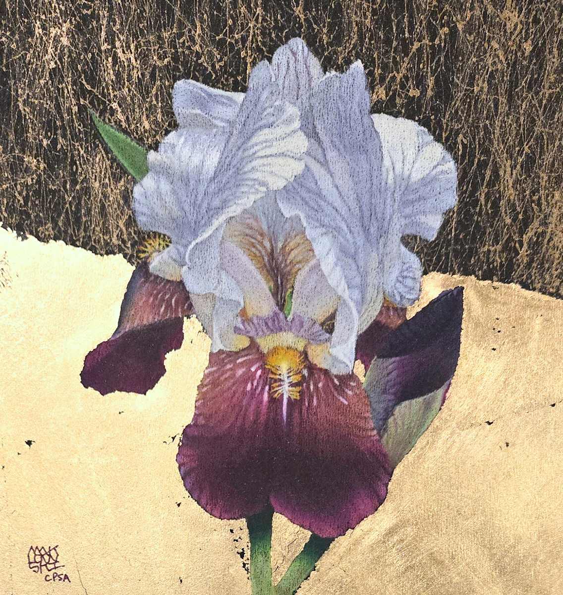 Iris 1 by Deborah Maklowski, CPSA, CPX 