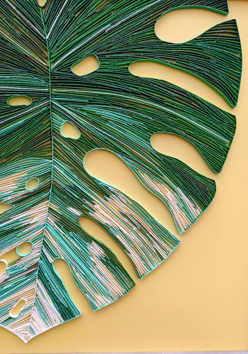 Variegated Monstera by Kelly Martin 