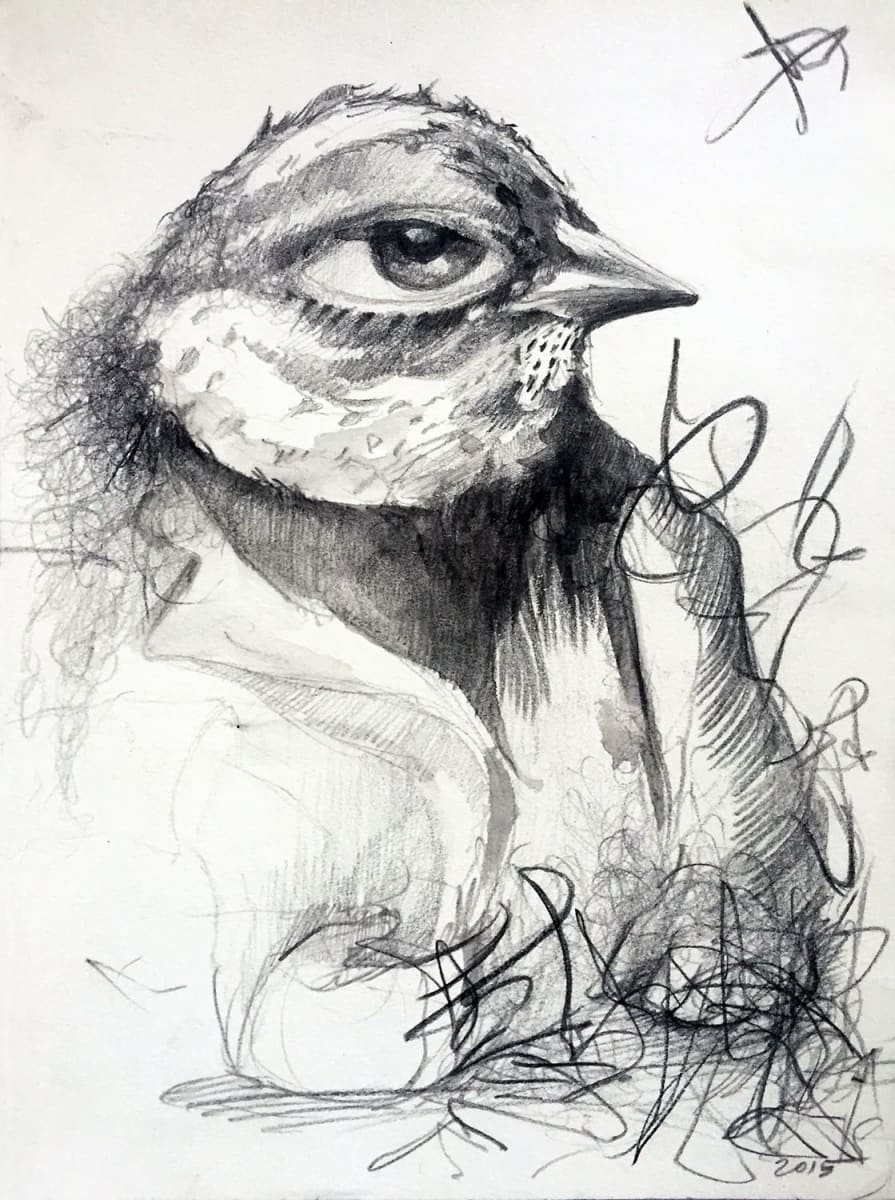Large Eye Bird by Marcia Neblett 