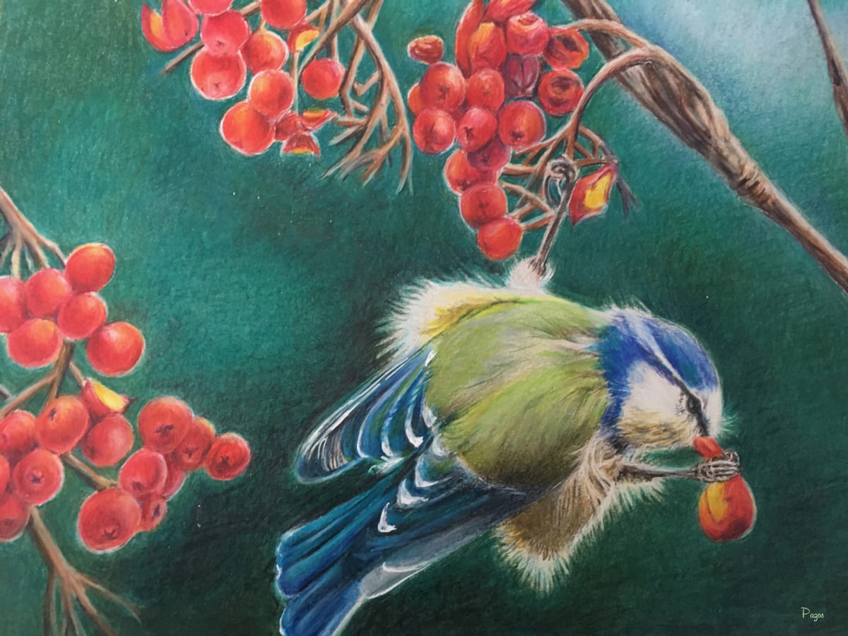 Bird with Berries by Maria Pazos 