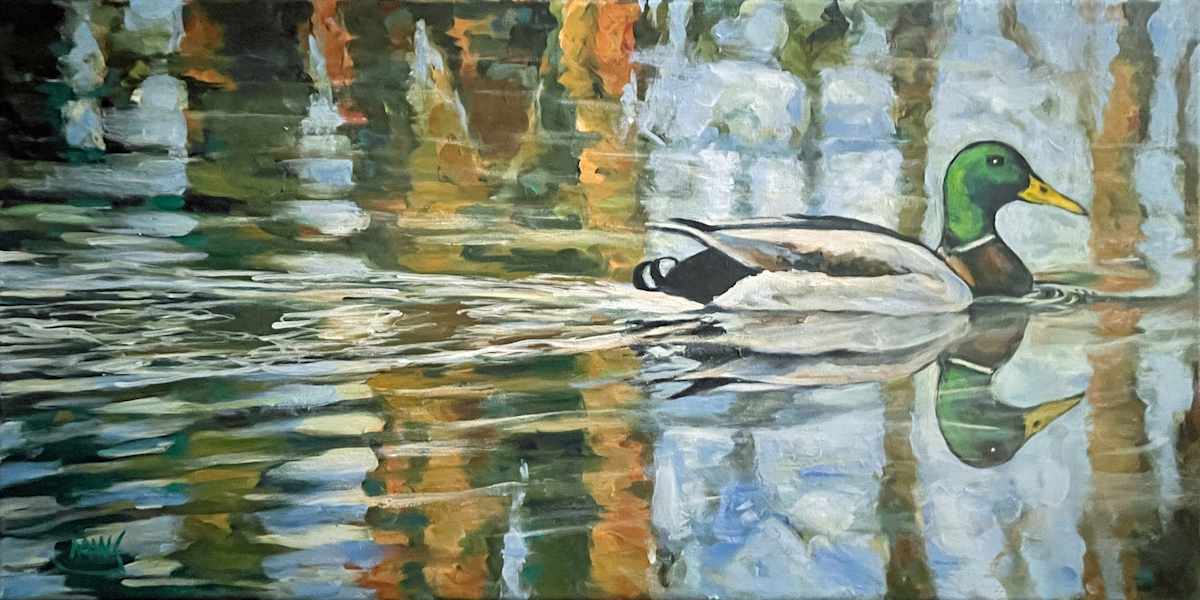 The Mallard by Monica Schauffler 