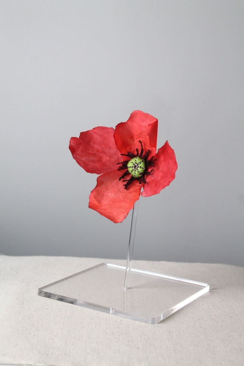 Poppy Brooch by Toni Smith 