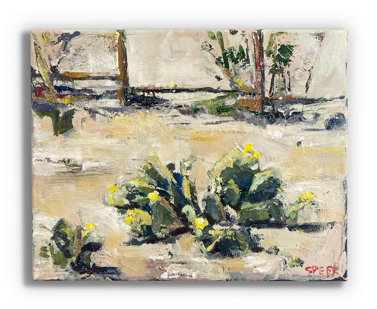 Cacti (Marfa, TX) by Adrianna Speer 