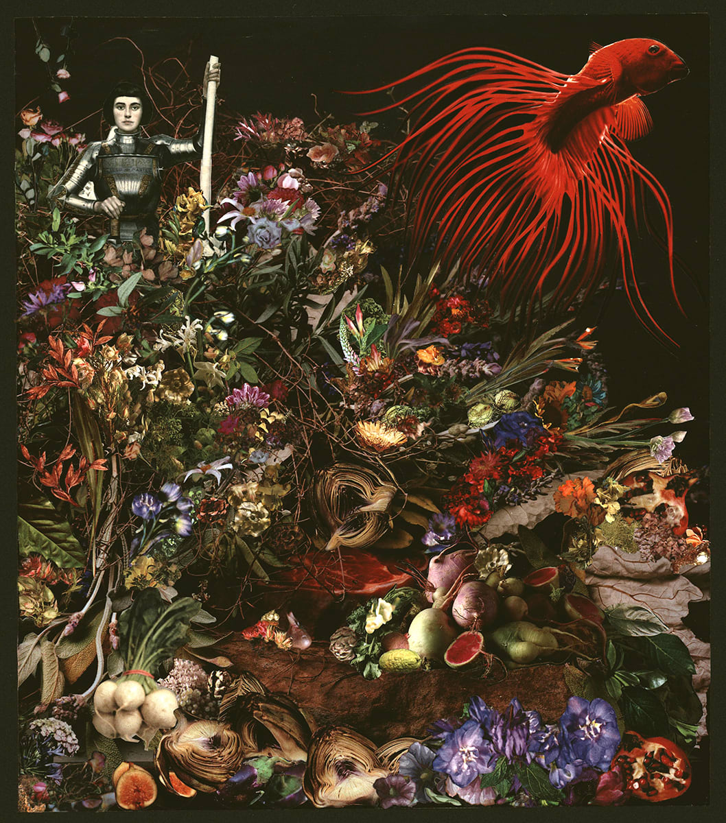 Alpha and Betta by Rebecca Steiner 