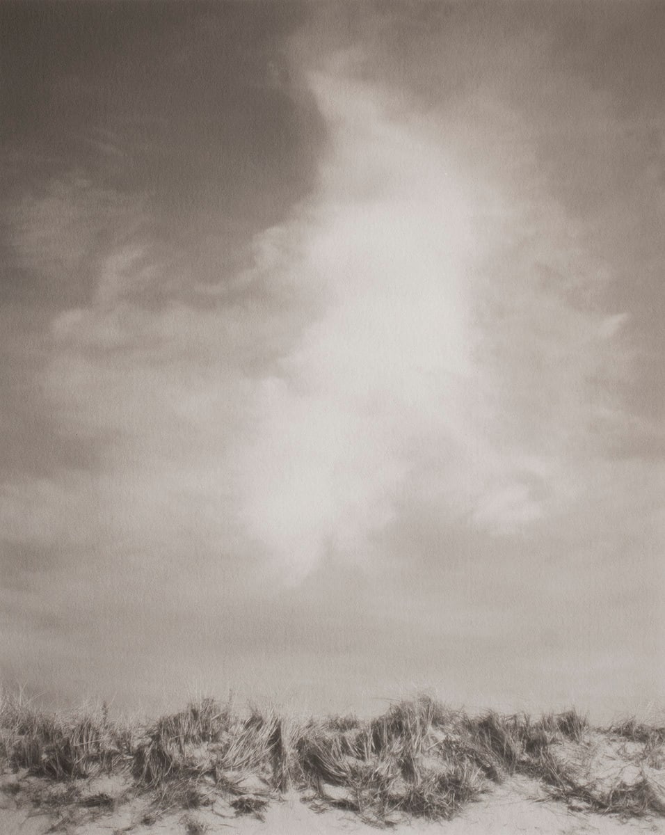 Beach Grass #4 by Mark S Stracke 