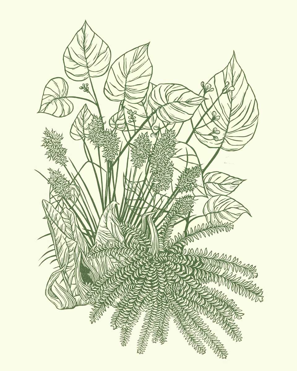 Bouquet 3 by Julie Wall 