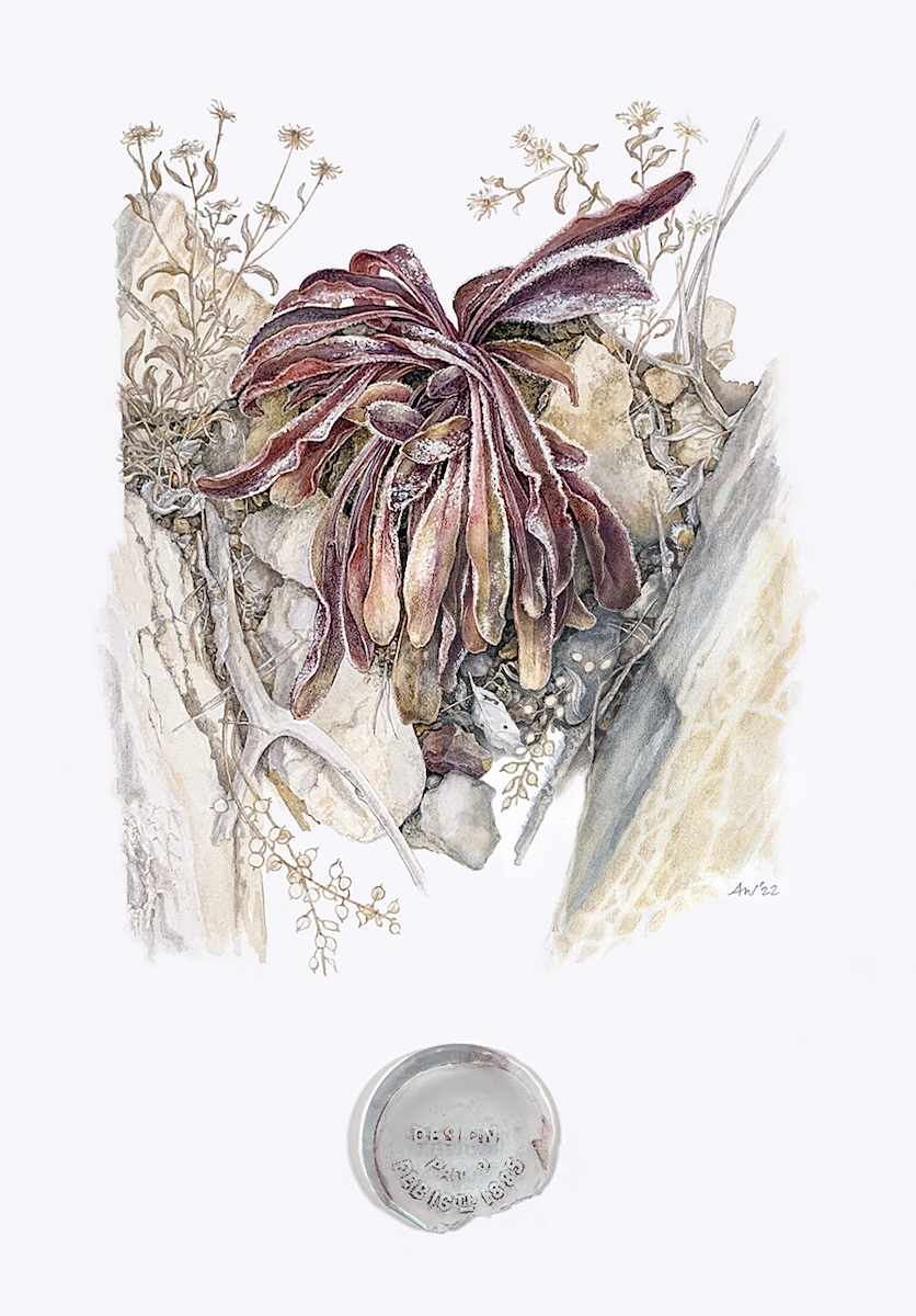 On the Roadside by Amy Wendland 