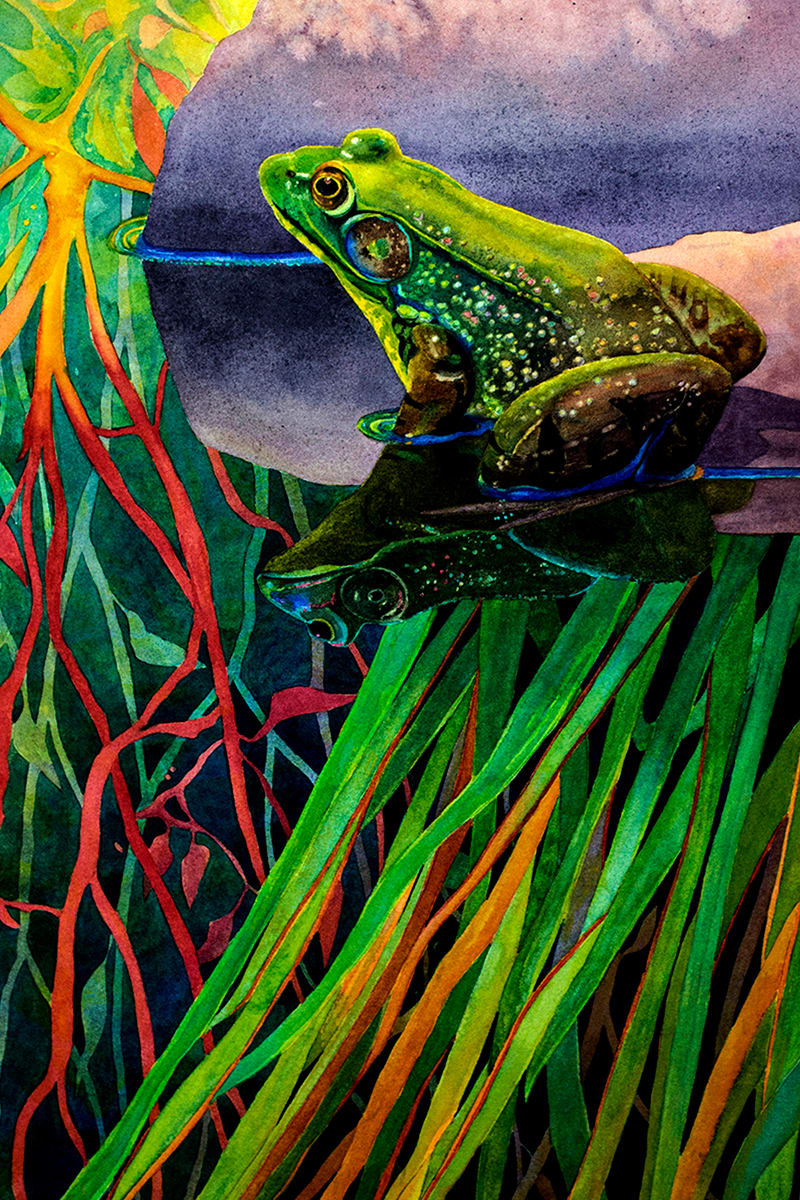 King of the Pond by Ann Hart 