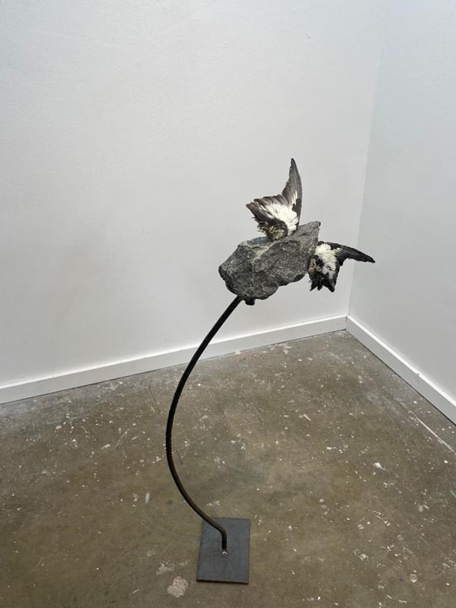 Means of Flight by Ceci Cole McInturff 