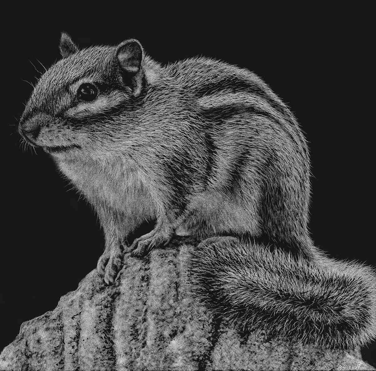 Chipmunk by Brittany Johnson 
