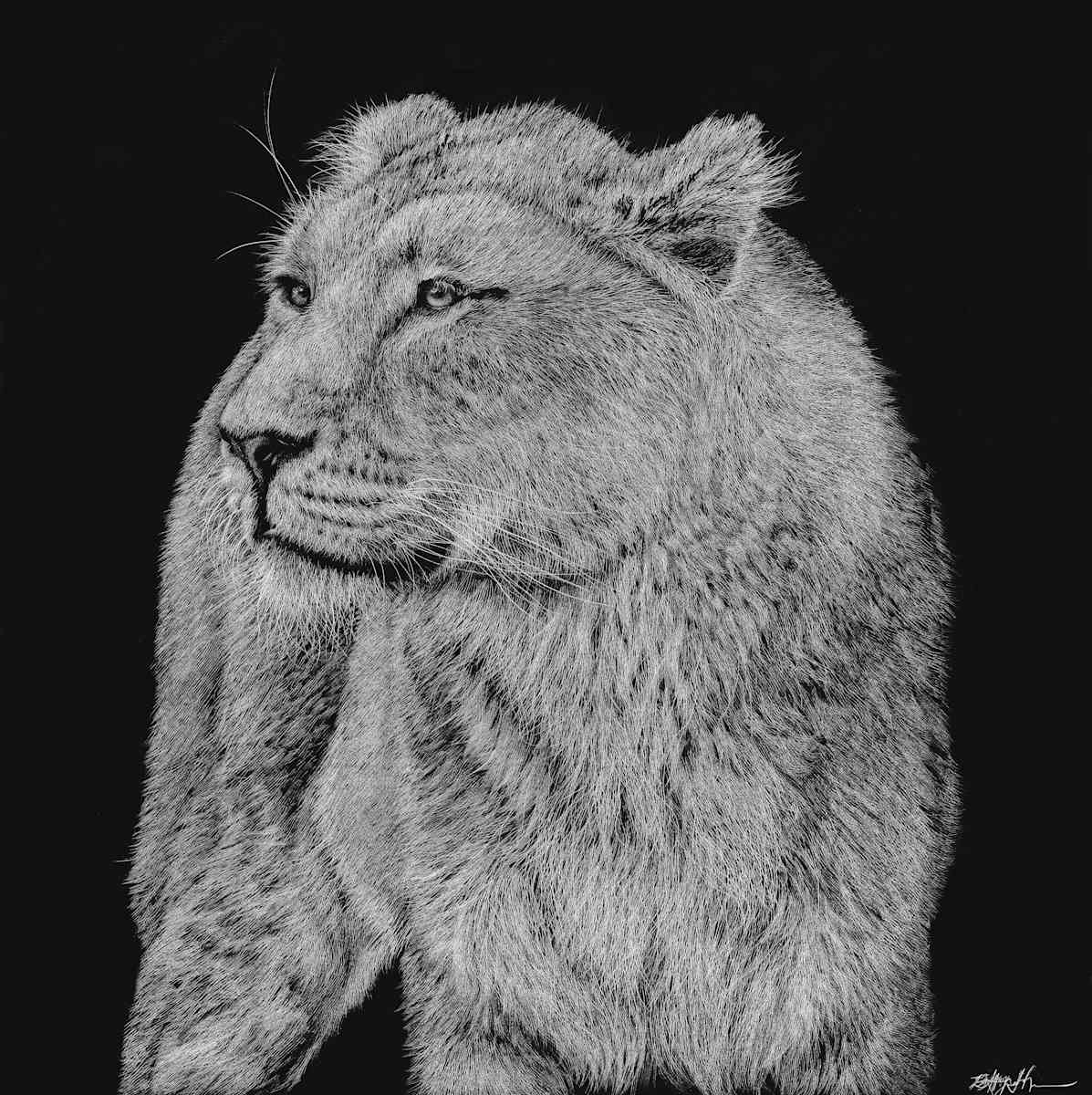 Lioness by Brittany Johnson 