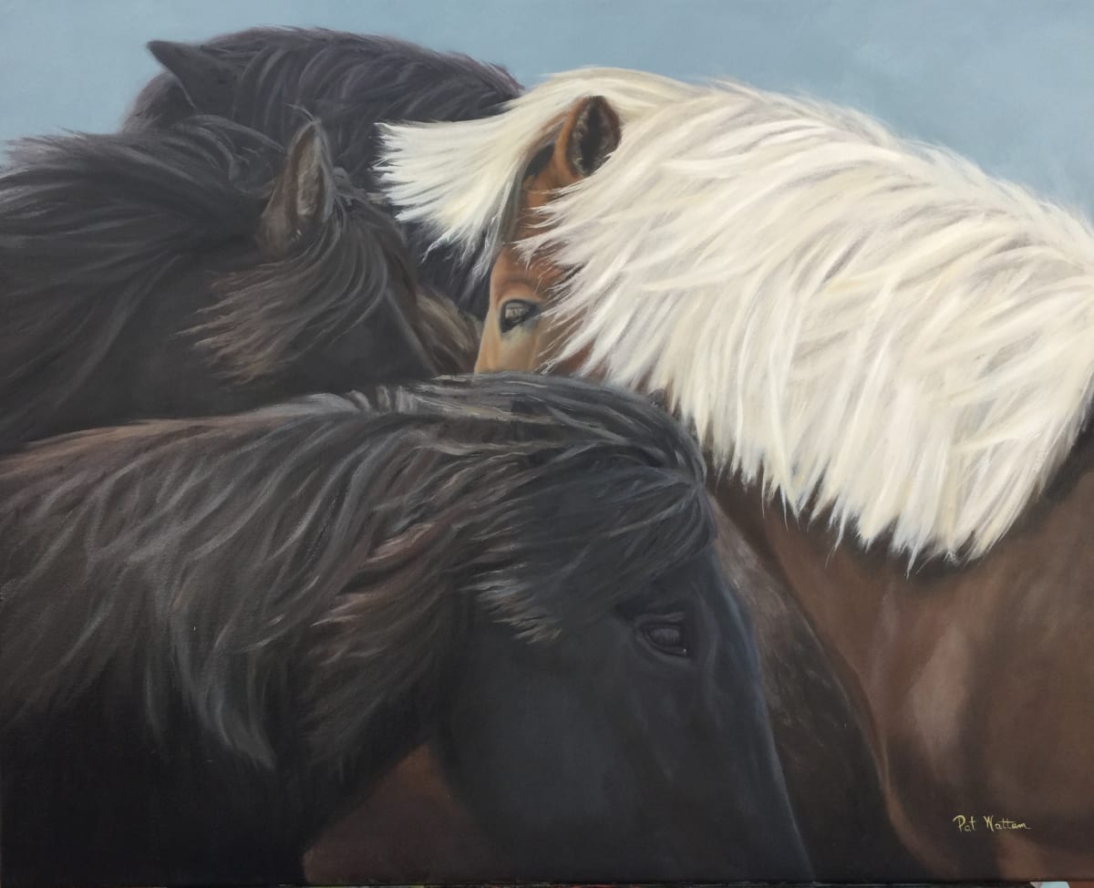 Icelandic Ponies by Pat Wattam 