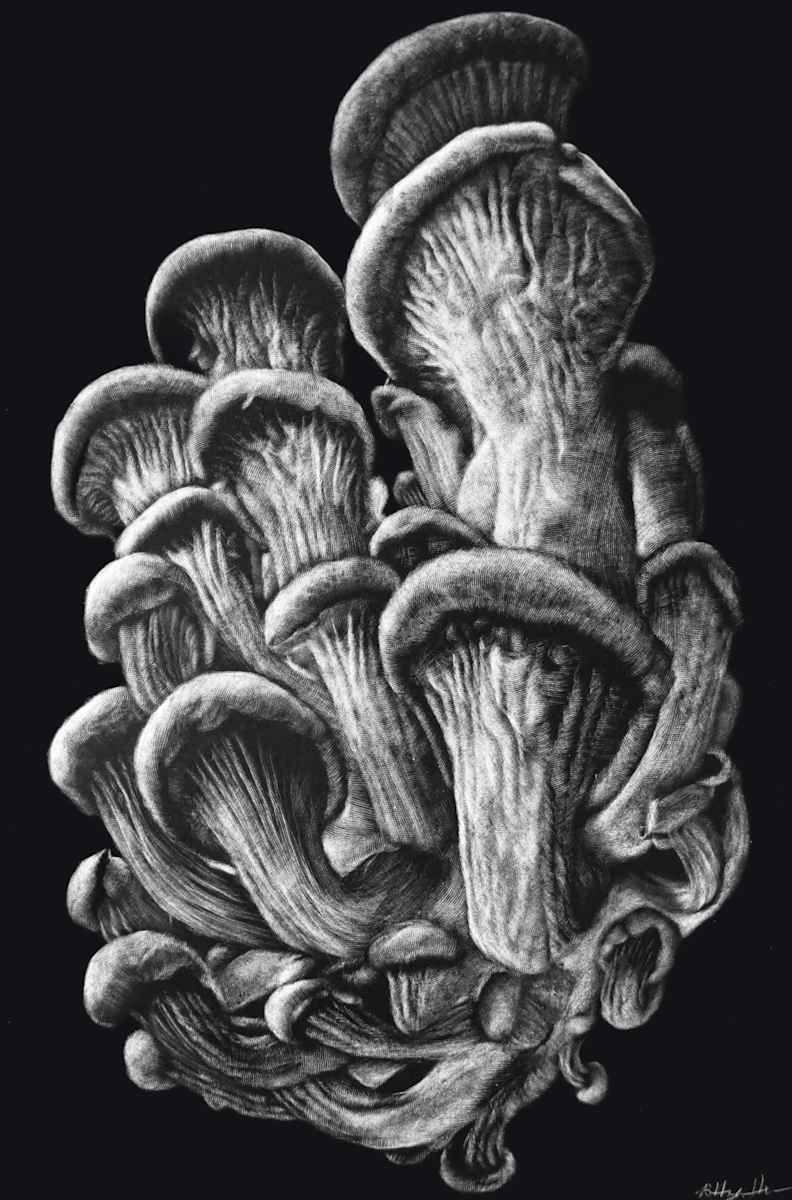 Mushrooms by Brittany Johnson 