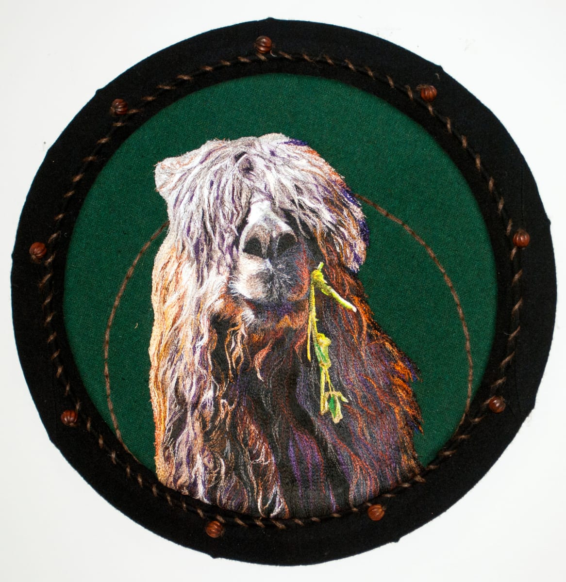 Lunch with a Llama by Jayne Gaskins 