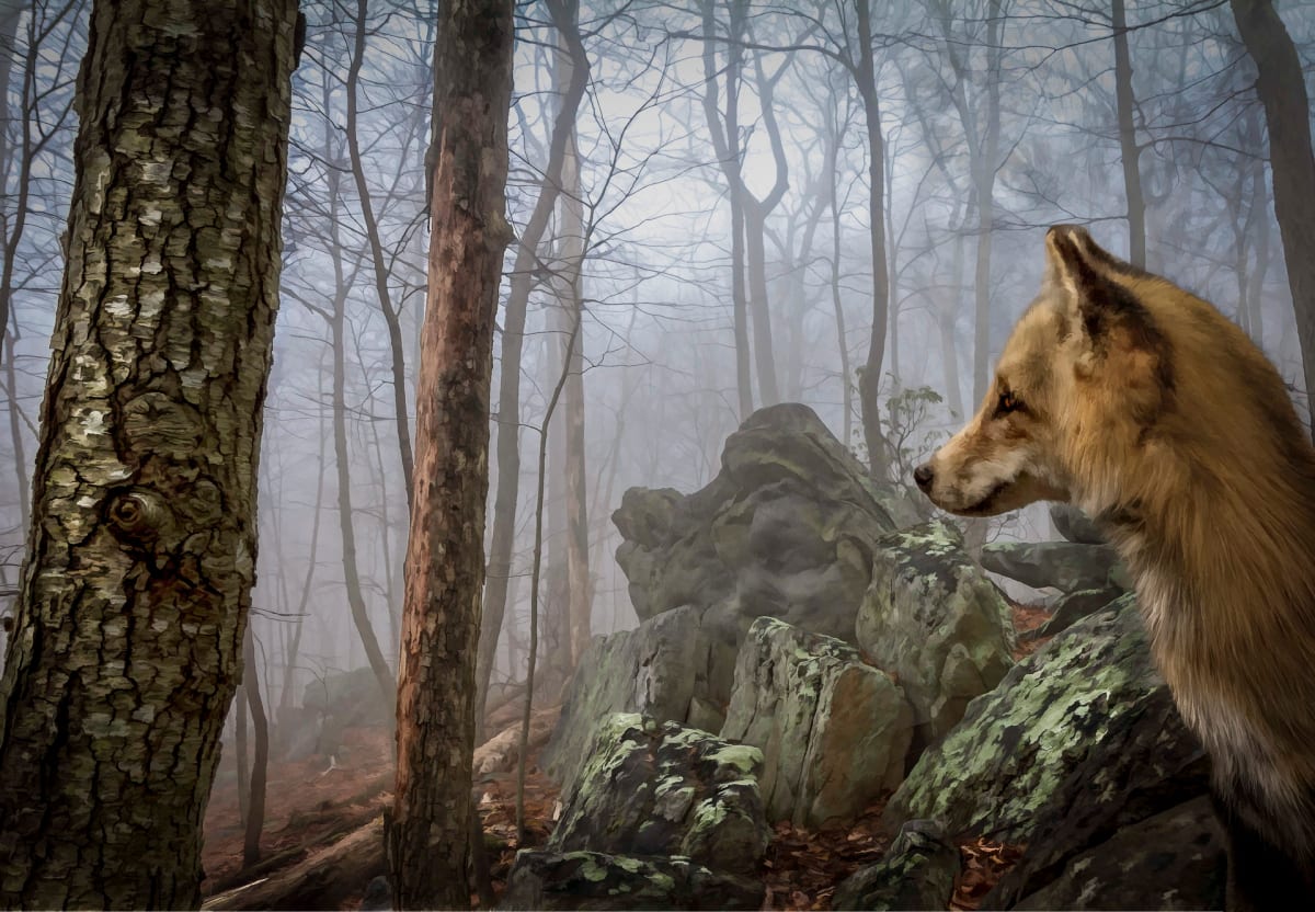 Sentinels II by Phillip Grove 