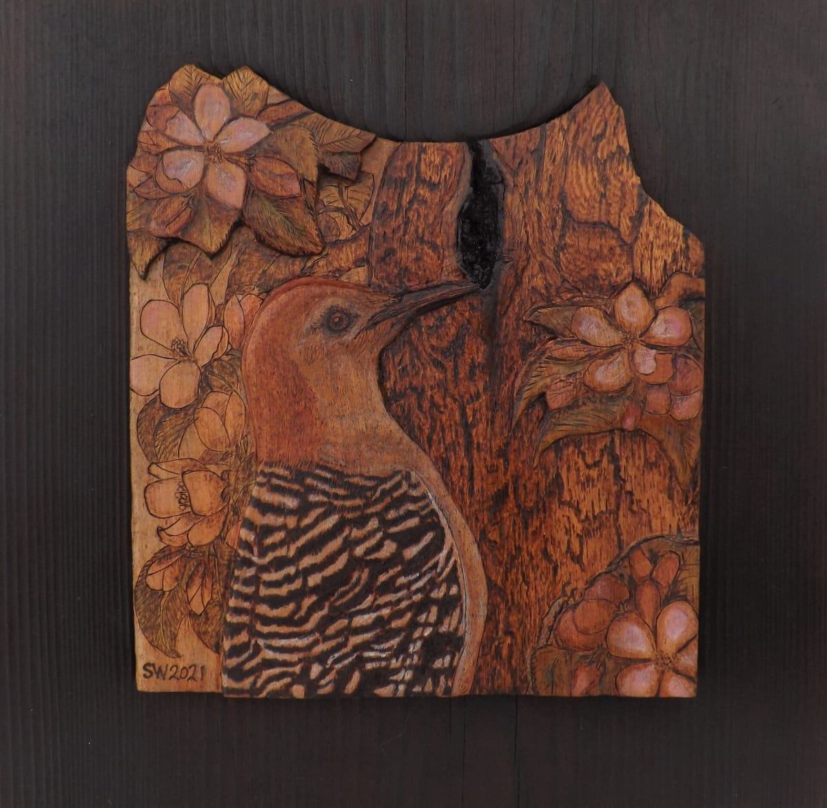 Red Bellied Woodpecker by Stefani Woodams 