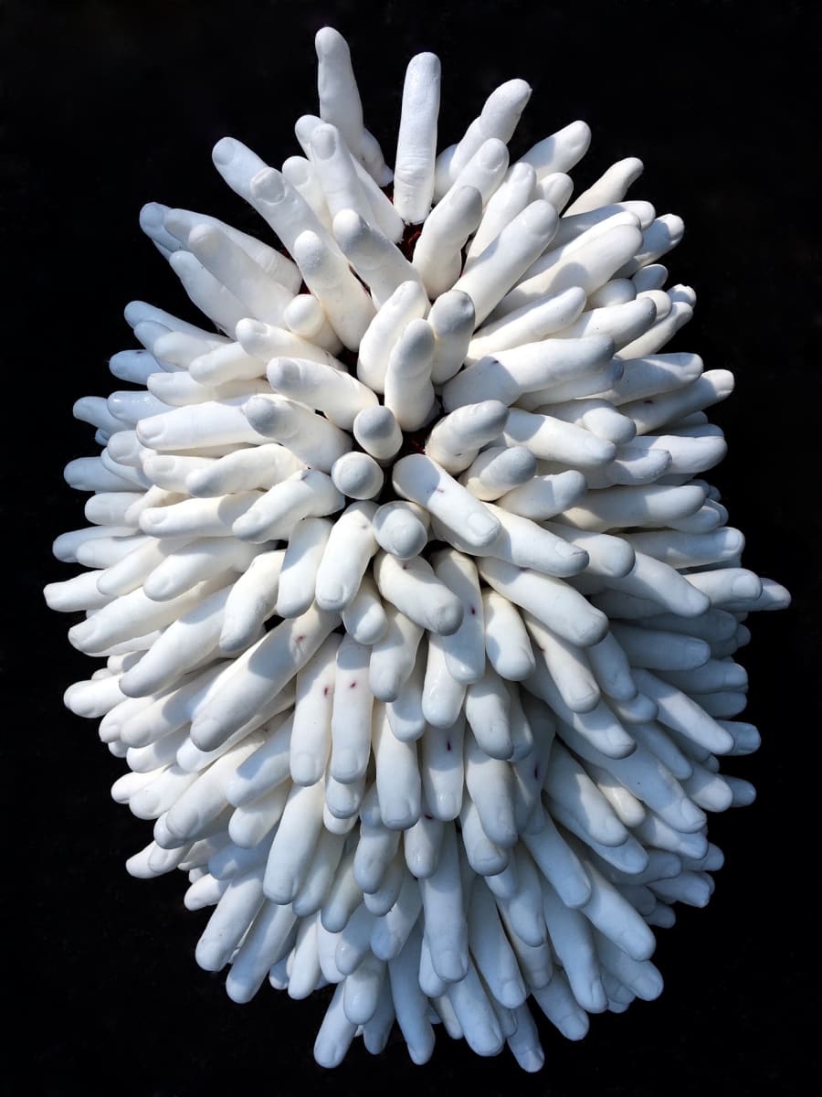 Anemone by Annette Goodfriend 