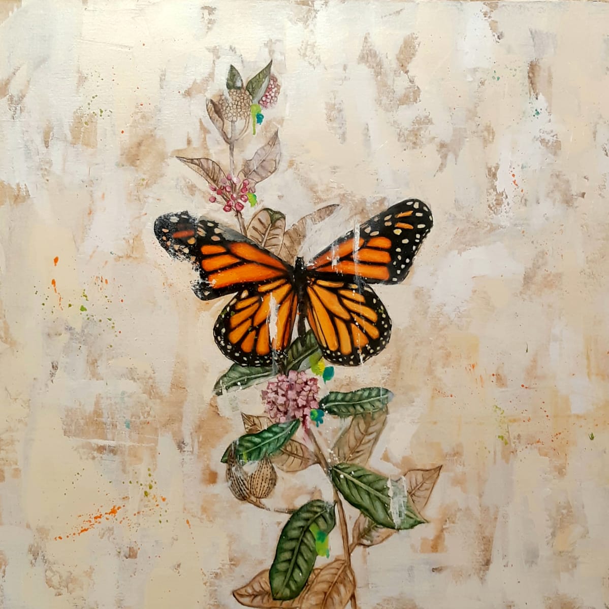 Milkweed Monarch by Catherine Mills 