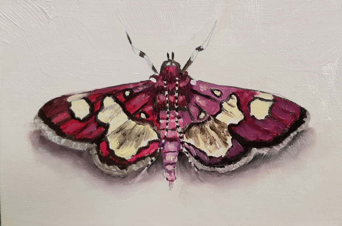 Purple Moth by Catherine Mills  Image: Purple Moth, 6 x 4 inches, oil on wood panel