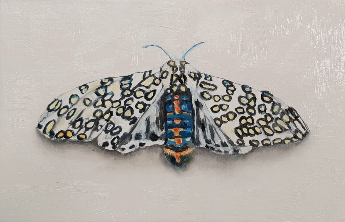 Small Spotted Moth by Catherine Mills 