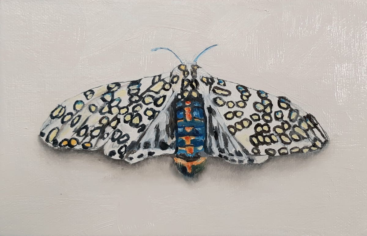 Small Spotted Moth by Catherine Mills 
