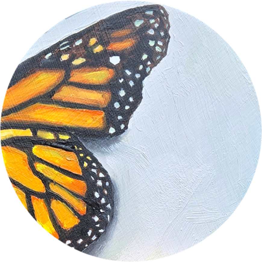 Mini Monarch by Catherine Mills  Image: Original oil painting on alupanel, 4 x 4 inches