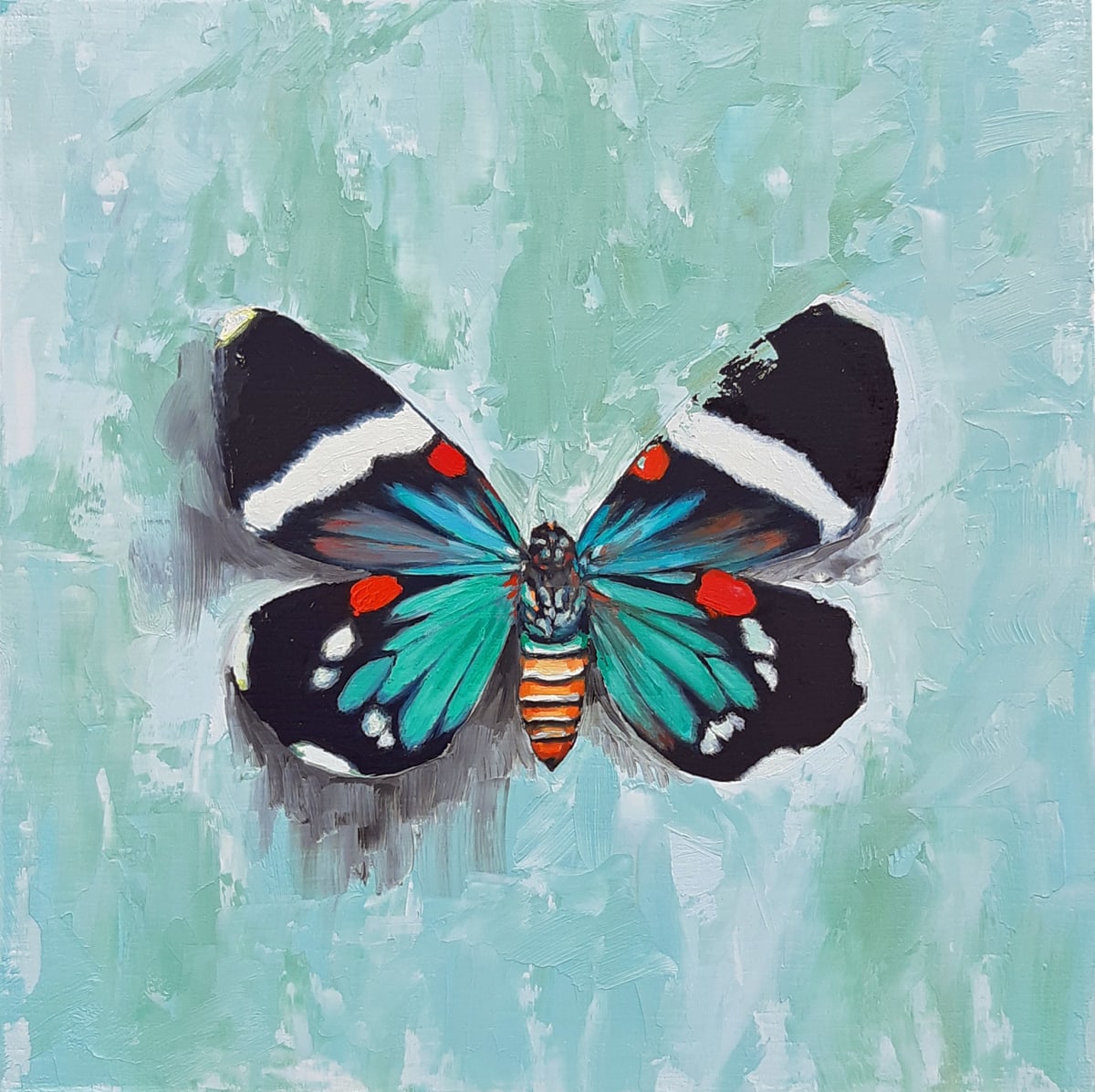 Blue Calm by Catherine Mills  Image: Teal and red butterfly, on blue background with striking black and white markings
