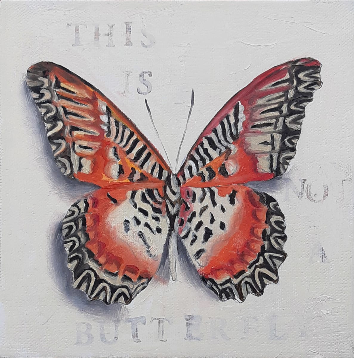 Alphabet Lacewing by Catherine Mills  Image: Alphabet Lacewing, 6 x 6 inches, oil on canvas on panel