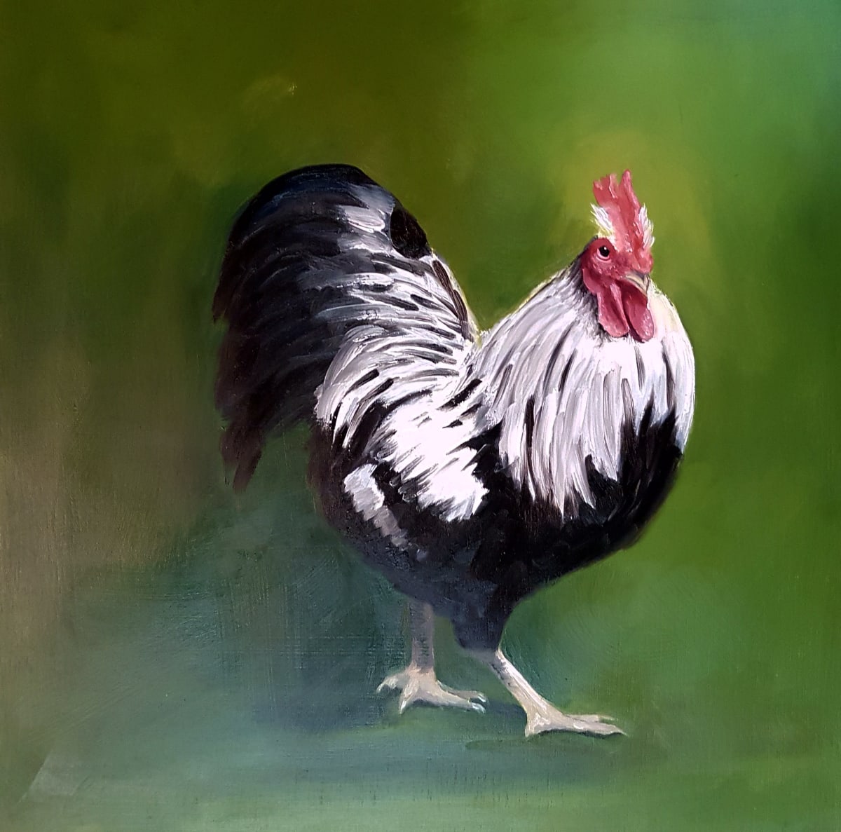 Green Rooster by Catherine Mills 