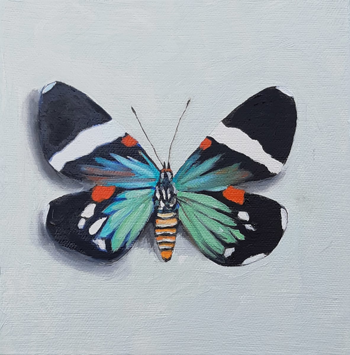 Day Flying Moth by Catherine Mills  Image: Day Flying Moth, 6 x 6 inches, oil on gallery wood panel