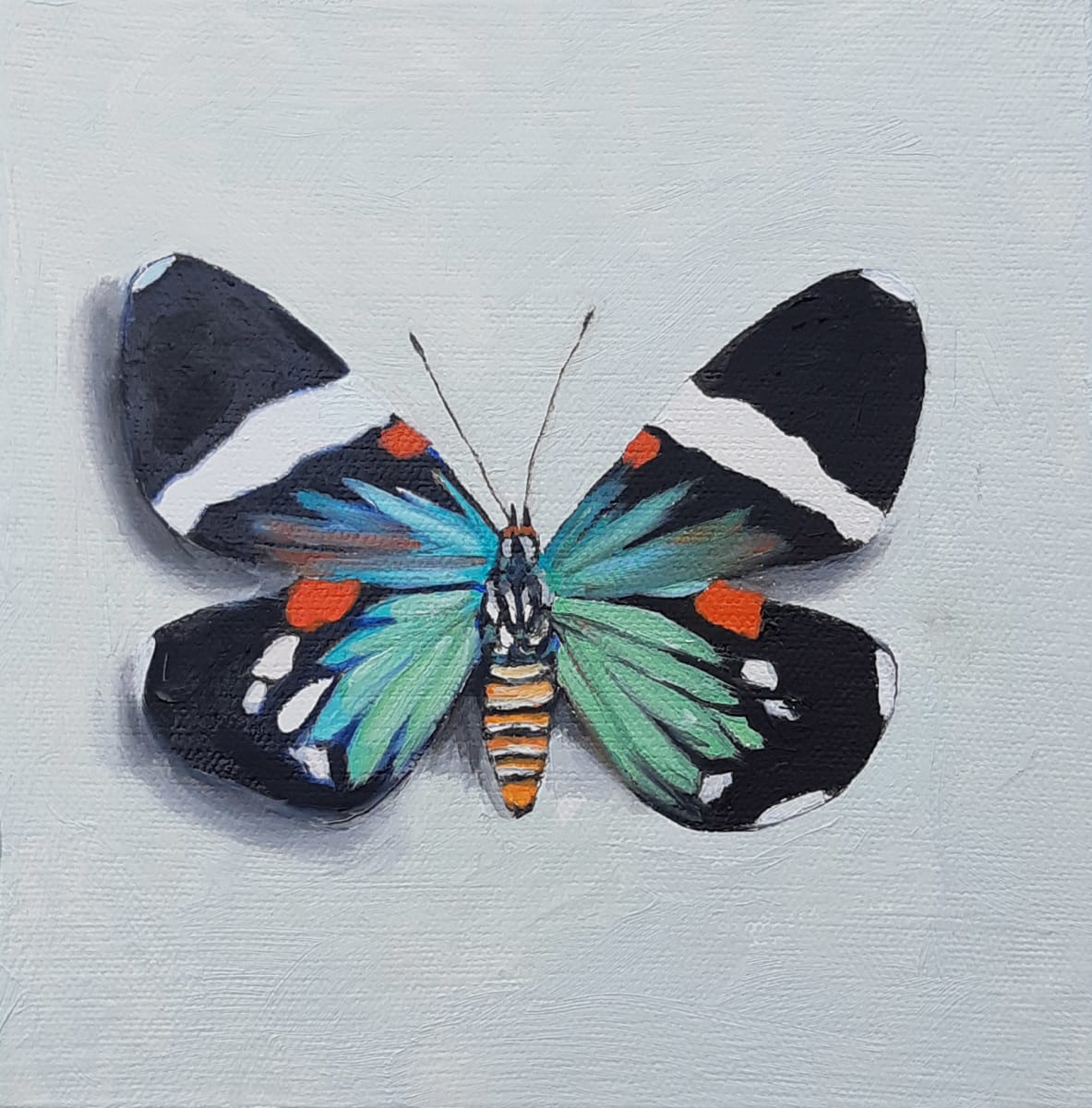 Day Flying Moth by Catherine Mills, Image 1.