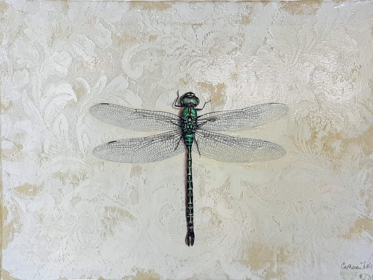 Green Dragonfly by Catherine Mills  Image: Green Dragonfly on Lacy Plaster