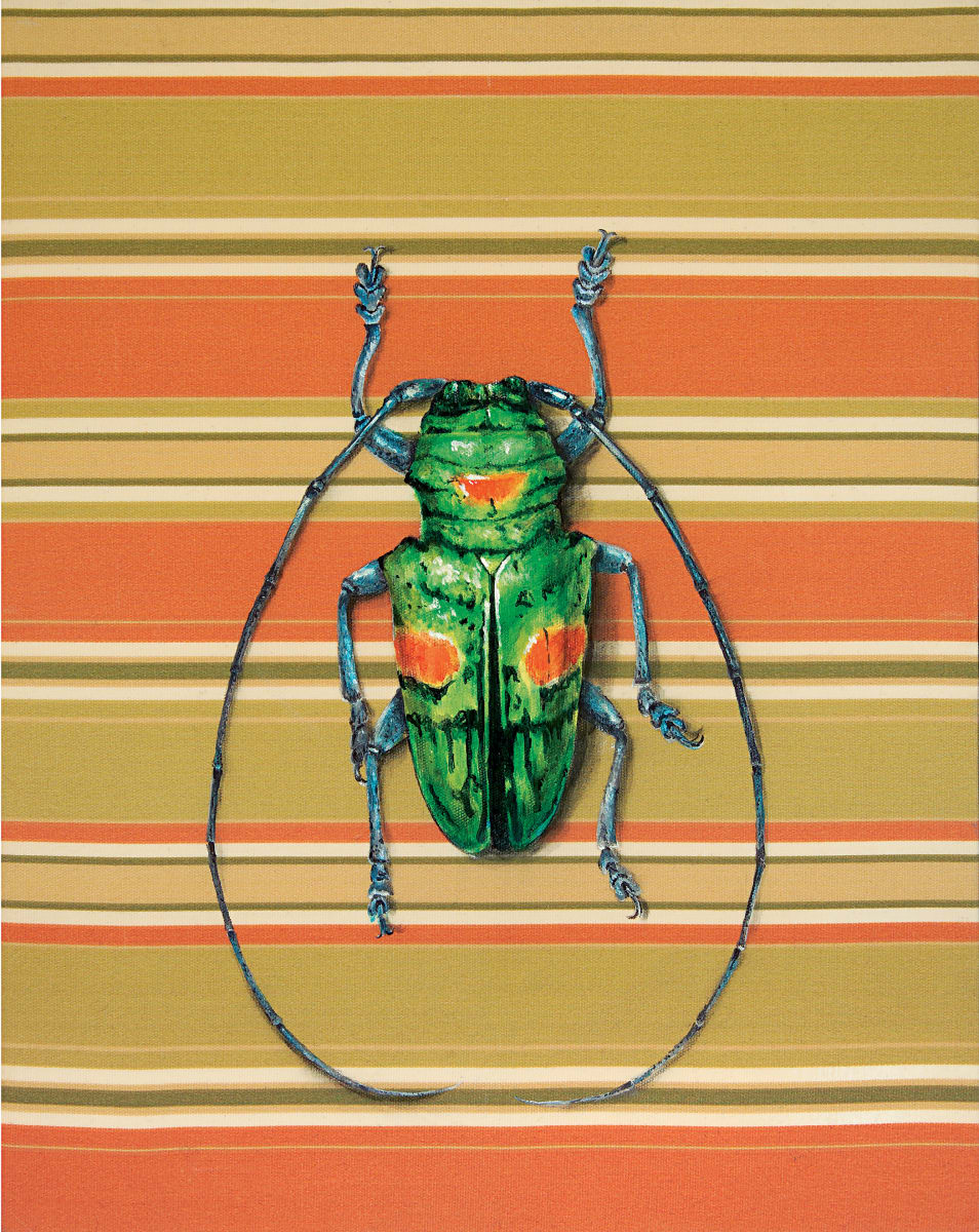 Lime Stripe by Catherine Mills  Image: Lime Stripe