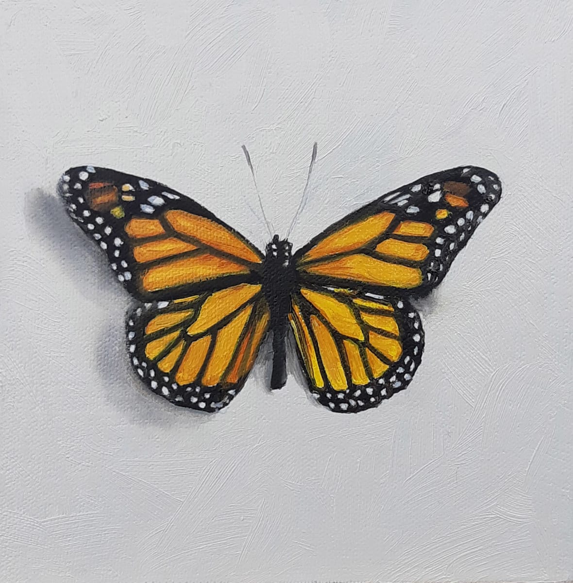 Small Monarch by Catherine Mills, Image 1.