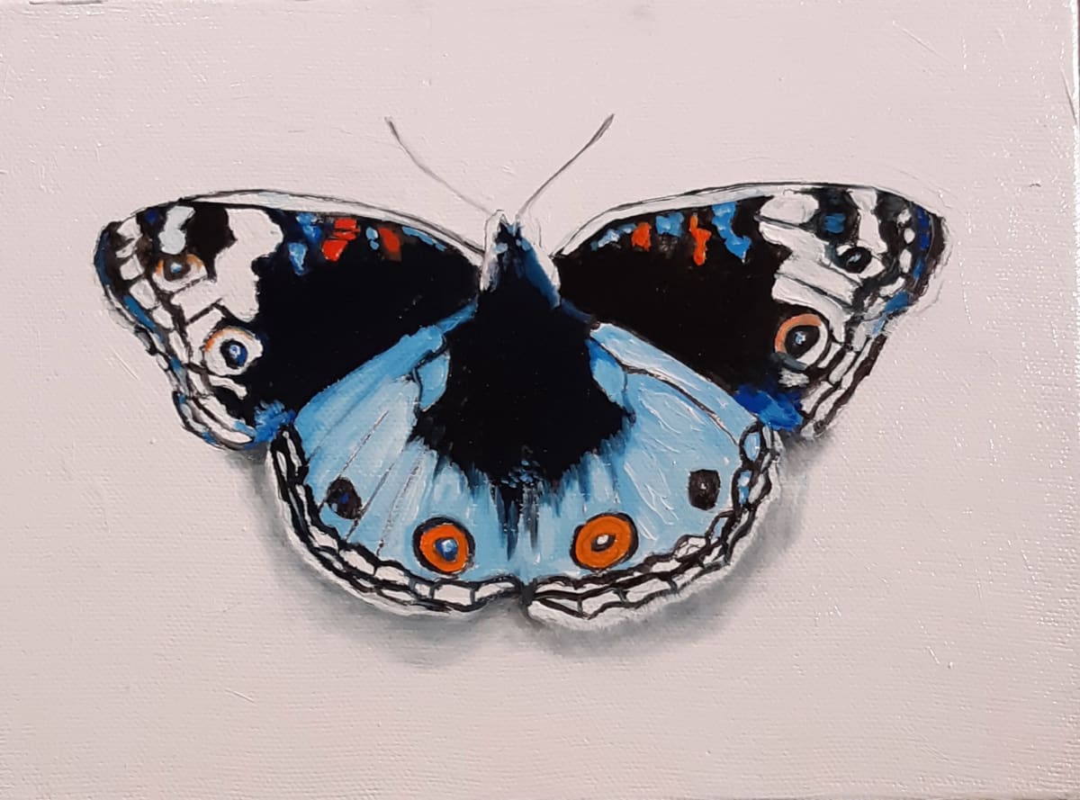 Small Blue Pansy Butterfly by Catherine Mills  Image: Small Blue Pansy, 6 x 8 inches, oil on wood panel