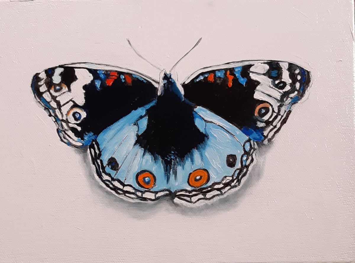 Small Blue Pansy Butterfly by Catherine Mills, Image 1.