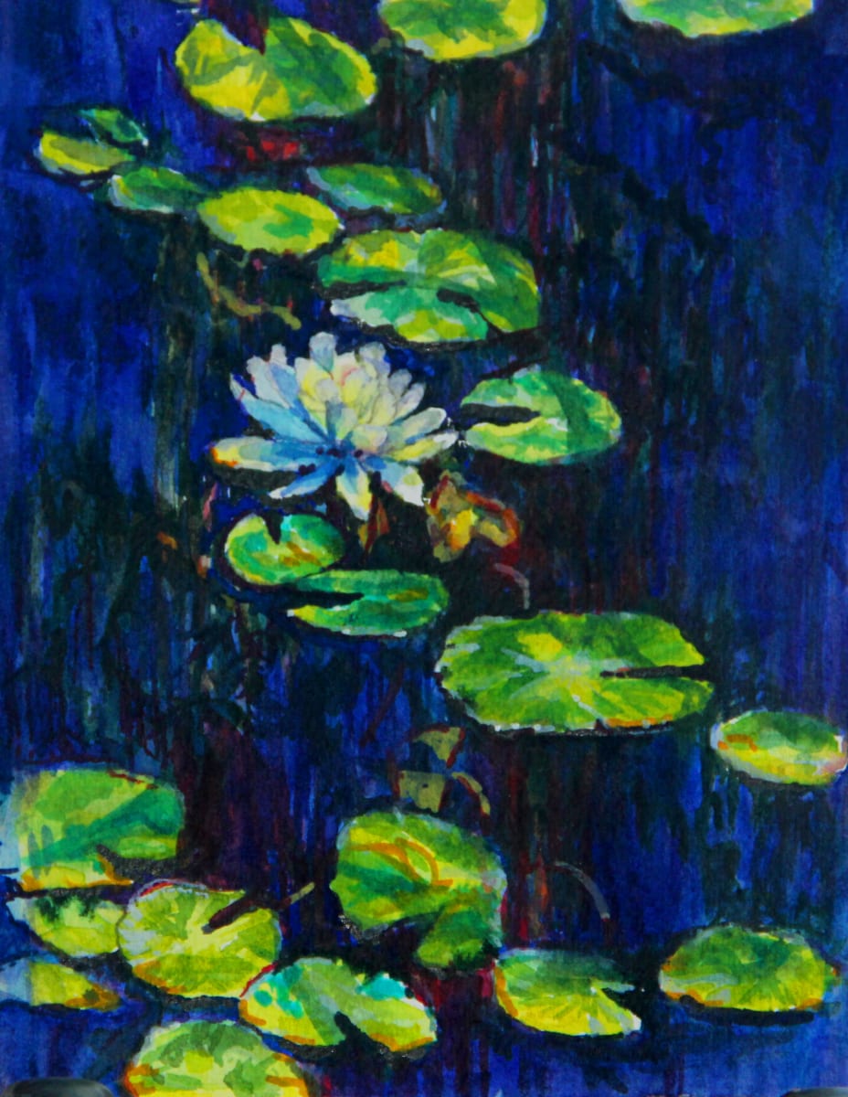 Cypress Dunes Lilly  Image: Lilies on a cypress pond.