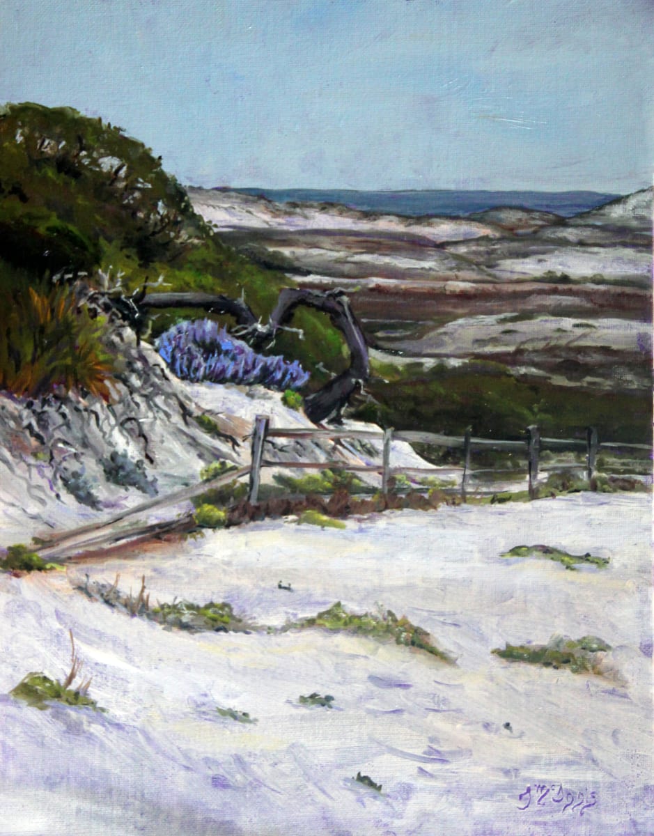 The Heart of the Deer by Theresia McInnis  Image: My heart stopped, the beach was covered in lupines and the wind-blown tree formed a heart.