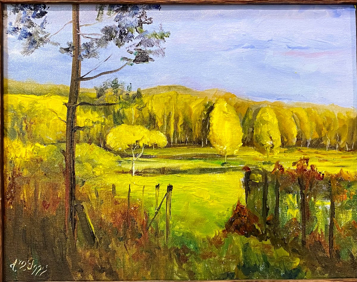 Suches Meadows 
