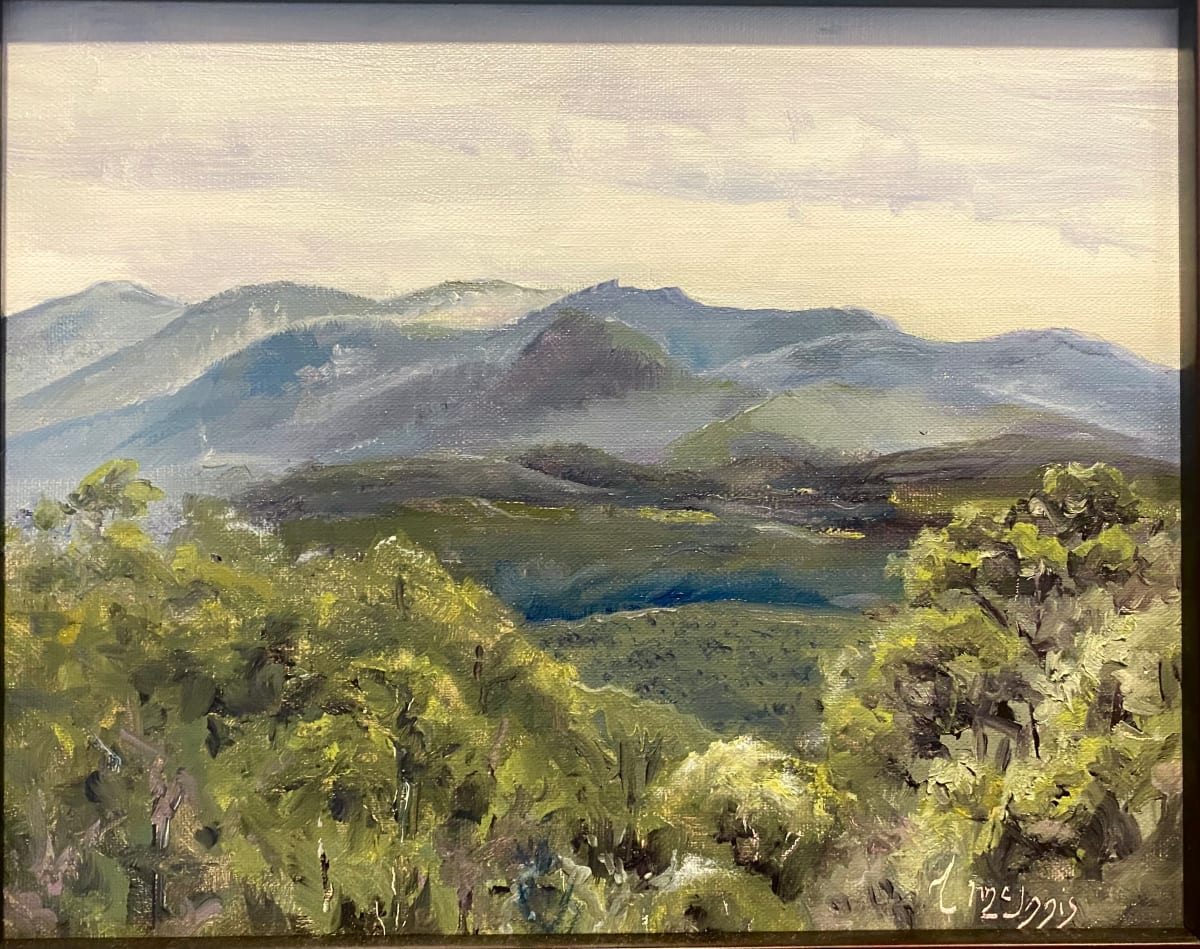 Smoking Mountains  Image: Overlooks from the Blue Ridge Parkway. 